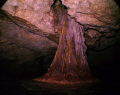   Cenotes Yukatan. airspace roots this tree appear go through water But they dont. Shot sealife 600 strobe. Yukatan dont strobe  